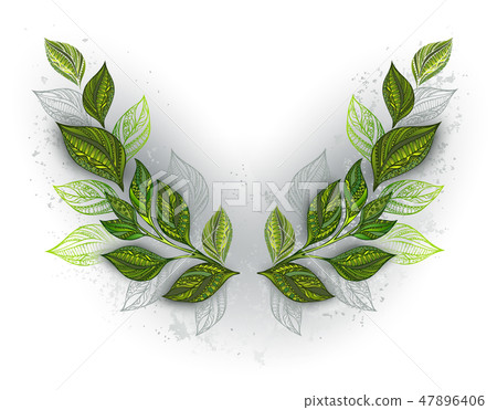 Symmetrical pattern with tea leaves Symmetrical pattern with tea leaves 47896406