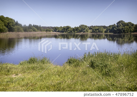 Large beautiful lake, with banks overgrown with forest. 47896752