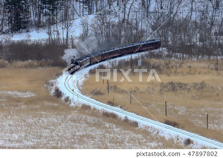 SL Winter's SL Wetlands Yumigaoka Observatory 47897802