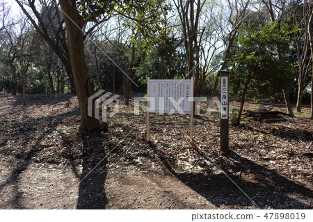 The trail of Mikunzan (Kimitsu City) The trail of Mikunzan (Kimitsu City) 47898019