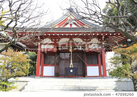 Spring Kameido Tenjin Mitake Shrine (Mitake Shinja) Tokyo Koto Ward Spring Kameido Tenjin Mitake Shrine (Mitake Shinja) Tokyo Koto Ward 47898260