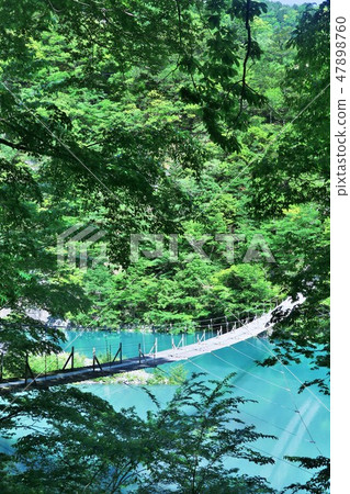 Shizuoka prefecture dream suspension bridge 47898760