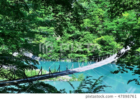 Shizuoka prefecture dream suspension bridge Shizuoka prefecture dream suspension bridge 47898761
