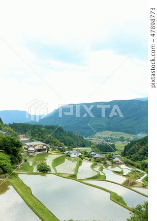 Rice paddy in Oita prefecture countryside 47898773
