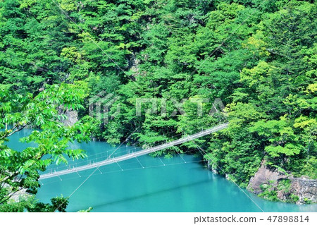 靜岡縣夢想吊橋 靜岡縣夢想吊橋 47898814