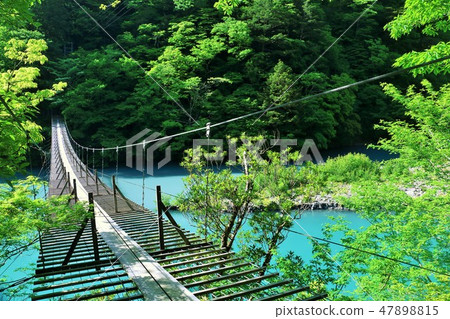 Shizuoka prefecture dream suspension bridge Shizuoka prefecture dream suspension bridge 47898815