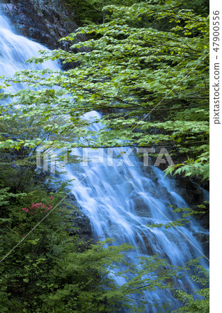 淡水綠色漁場瀑布 47900556