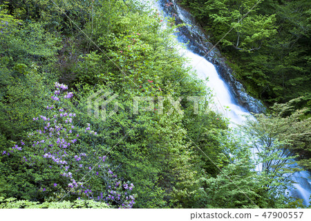 淡水綠色漁場瀑布 47900557