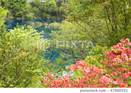 The 40,000 lakes of the fresh green 47900581