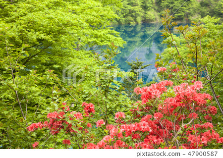 新鮮綠色的40,000個湖泊 47900587