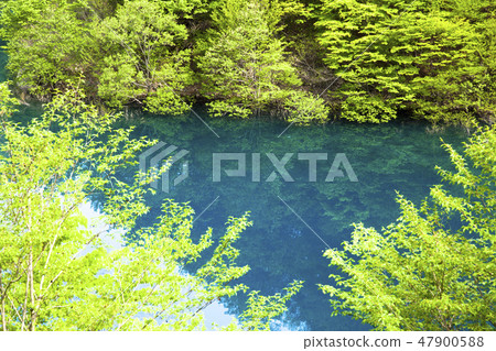 新鮮綠色的40,000個湖泊 47900588