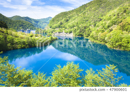 The 40,000 lakes of the fresh green 47900601