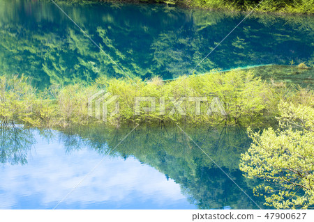 The 40,000 lakes of the fresh green 47900627