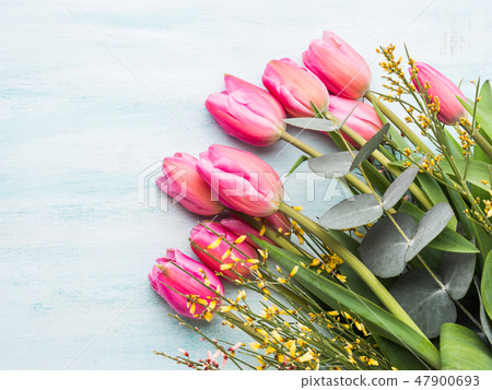 Beautiful tulips on pastel green background Beautiful tulips on pastel green background 47900693