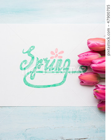 Beautiful tulips and word Spring in green letters 47900705