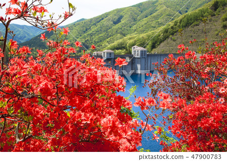 新鮮綠色的40,000個湖泊 新鮮綠色的40,000個湖泊 47900783