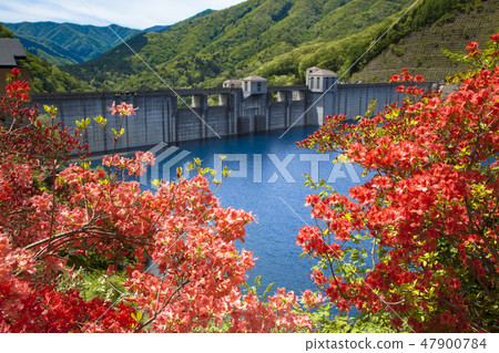 新鮮綠色的40,000個湖泊 新鮮綠色的40,000個湖泊 47900784