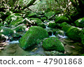 Yakushima 47901868