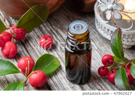 A bottle of wintergreen essential oil  47902027