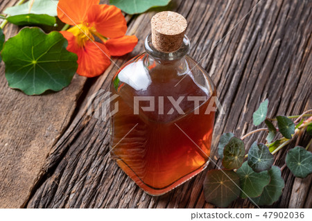A bottle of nasturtium tincture with fresh plant 47902036