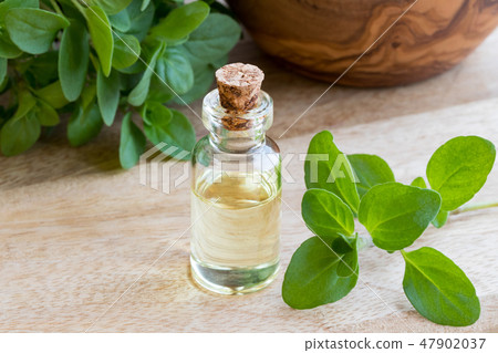 A bottle of essential oil with fresh marjoram 47902037
