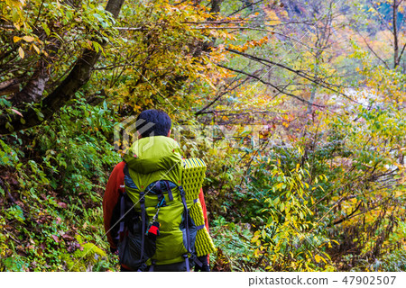 Shimono climber 47902507