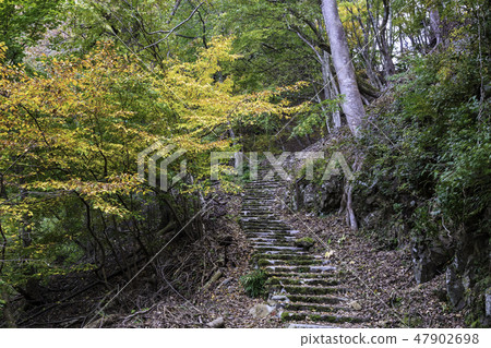 Autumn view of Okutama mountain climbing road 47902698