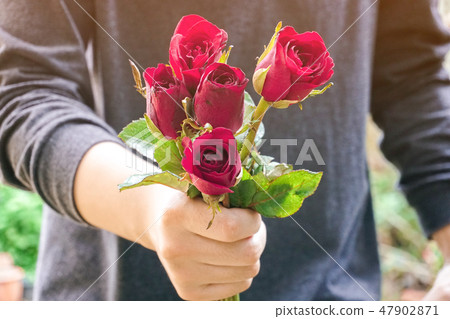 Man holding red roses in the garden. 47902871