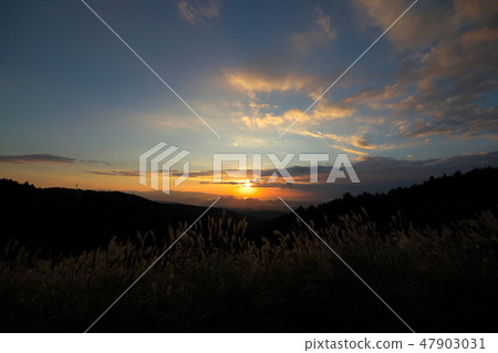 德川關口落日 47903031