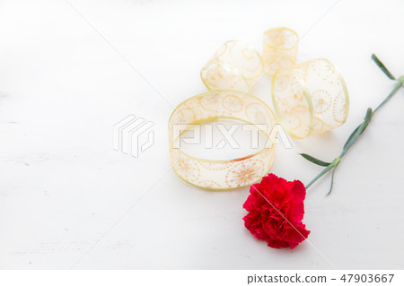 Red carnation present / Mother's Day · Bouquet Red carnation present / Mother's Day · Bouquet 47903667
