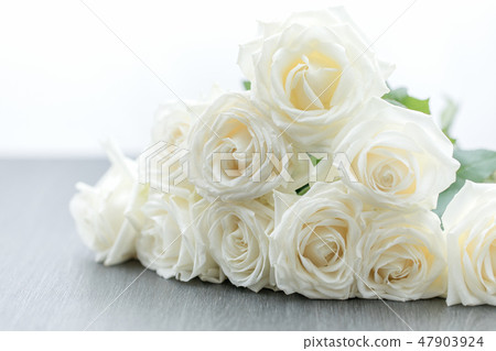 White roses gift 47903924
