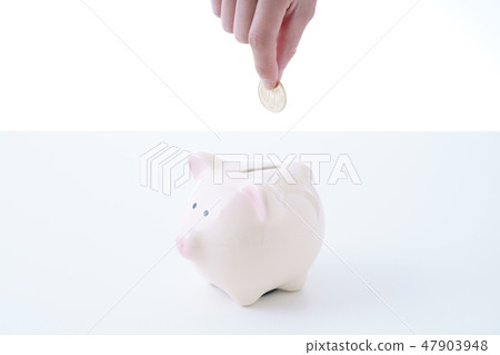 savings savings 47903948