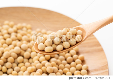 大豆 47904004
