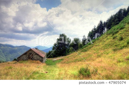 Summertime in Tuscany, Italy 47905074
