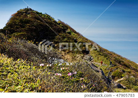 Mt. Tanigawa · When going along the ears and ridgeline of Tomah, climbers 47905783