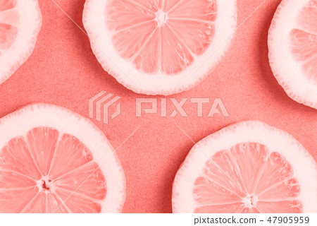 Sliced lemon on on living coral background Sliced lemon on on living coral background 47905959