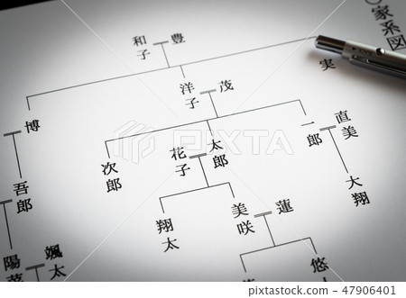 Family tree ancestry Relatives Roots 47906401
