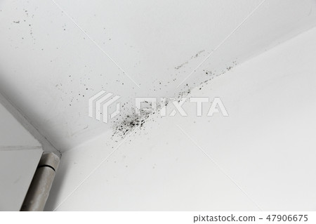 mold in the corner of the window on a white wall  47906675