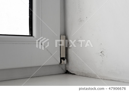mold in the corner of the window on a white wall mold in the corner of the window on a white wall 47906676