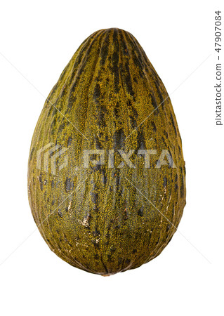whole melon isolated 47907084