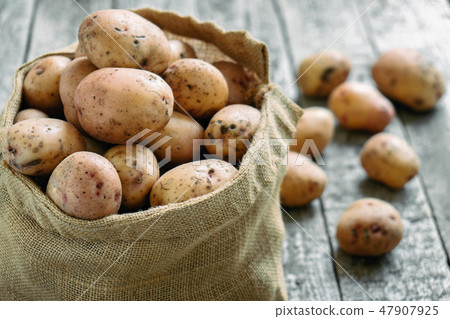 Raw potatoes in a burlap sack on the rough wooden boards Raw potatoes in a burlap sack on the rough wooden boards 47907925