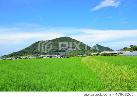 鄉村景觀 鄉村景觀 47908265