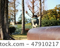 A boy playing in a park 47910217