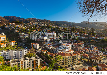 Town Funchal - Madeira Portugal Town Funchal - Madeira Portugal 47910462