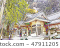 Takachiho Shrine 47911205