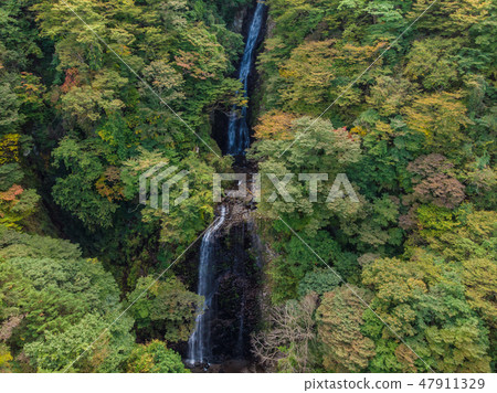 White boar waterfall White boar waterfall 47911329