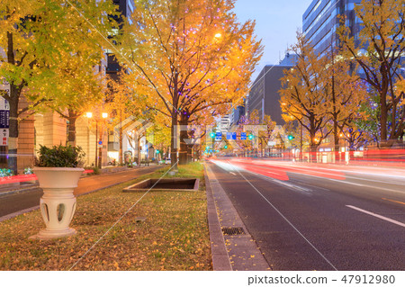 Osaka _ Midosuji Light Feast 47912980