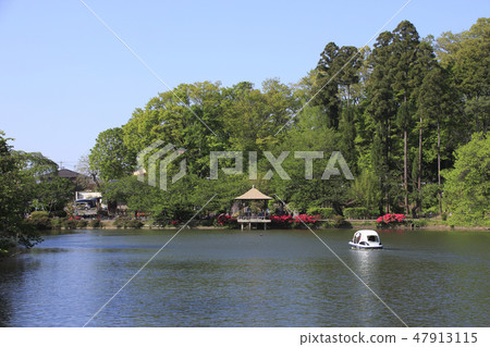 新鮮綠的水原公園（須坂市） 47913115