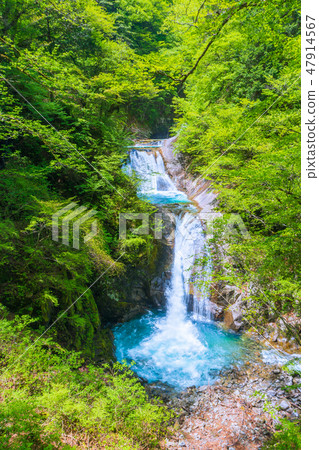 Top 100 Waterfalls in Japan: Nanatsugama Five-stage Waterfall [Nishizawa Valley, Yamanashi Prefecture] 47914567