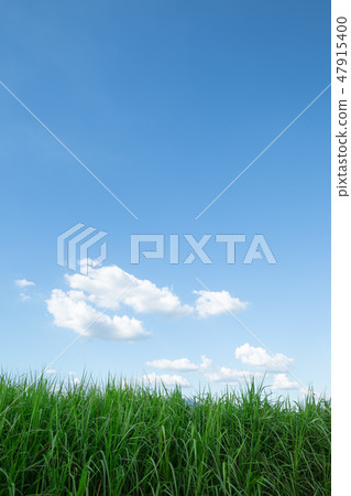 Clouds and grass Clouds and grass 47915400
